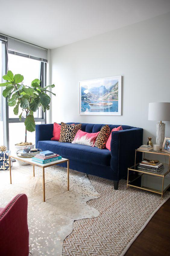 Apartment Living Room Ideas 6