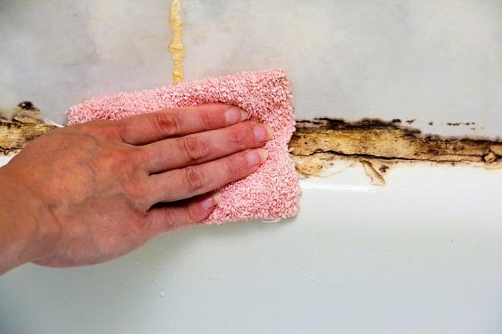 How to Remove Mold in Bathrooms